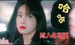 郑凯爆料宋茜视频大全集,视频大全集深度解析